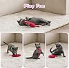 Legendog 5Pcs Bite Resistant Catnip Toy for Cats,Catnip Filled Cartoon Mice Cat Teething Chew Toy #4