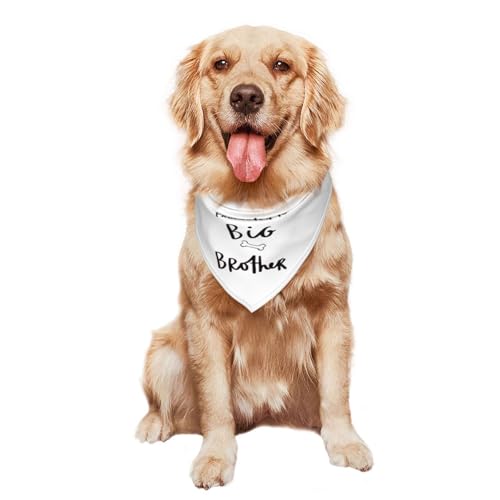 vercosee Promoção para Big Brother Bandana para cães, reversível, acessórios para fotos, presente pa