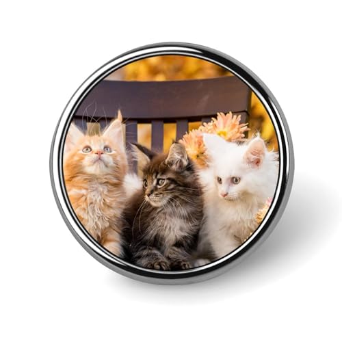 obW ~` J  lR L ʃobW  sob` {^u[` 25mm  lN^Cs RNV obO Xq  ΂| H|i tȒP jp v[g