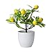 SLDHFE Artificial Lemon Tree Topiary, Faux Plants Arrangement for Home, Living Room, Dining Room, Bathroom Decoration, Fake Yellow Lemons Fruits in Planter