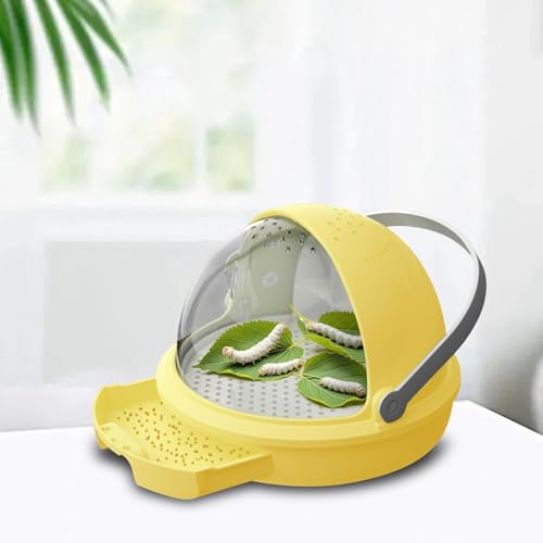 Boîte d'élevage à soie portable en polypropylène jaune pour observation - 7