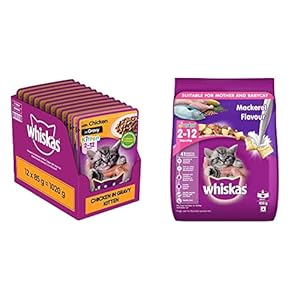 Whiskas Wet Food for Kittens (2-12 Months), Chicken in Gravy Flavour, 12 Pouches (12 x 85g) & Kitten (2-12 Months) Dry Cat Food, Mackerel Flavour, 450g Pack