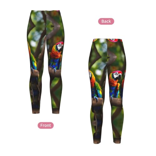 Leggings de compresión de alta gama mallas suaves con estampado exótico de loros 4