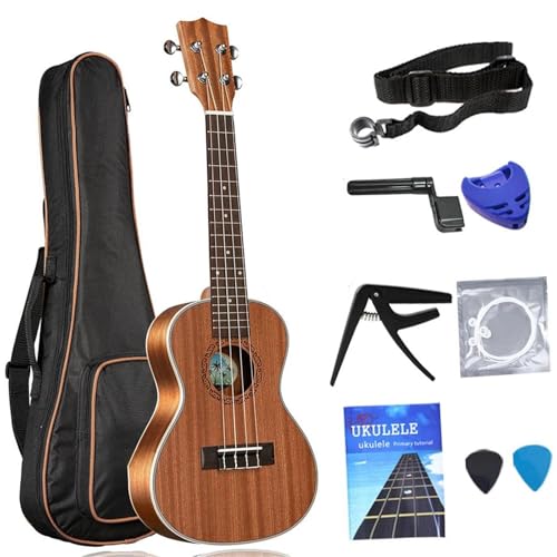 21/23/26 C` Ty EN RT[g EN M^[ SҌ EN oh Lbg(21)