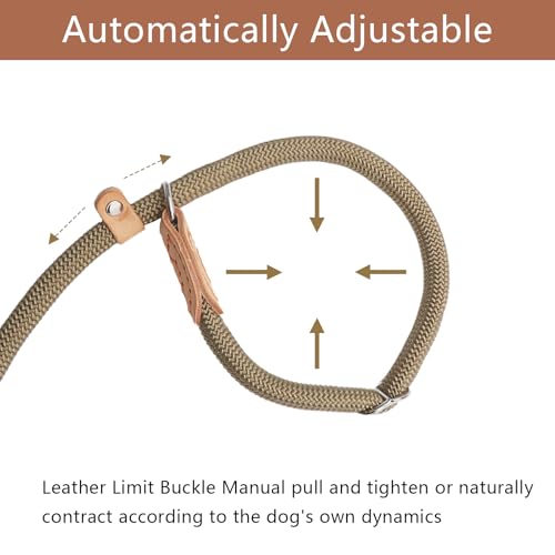 Retrieverleine mit Zugstopp & Hundebürste – 150 cm Hundeleine mit Halsband, einstellbare Anti-Würgen Trainingsleine für kleine & mittlere Hunde, 2-in-1 Leine für Spaziergänge & Pflege