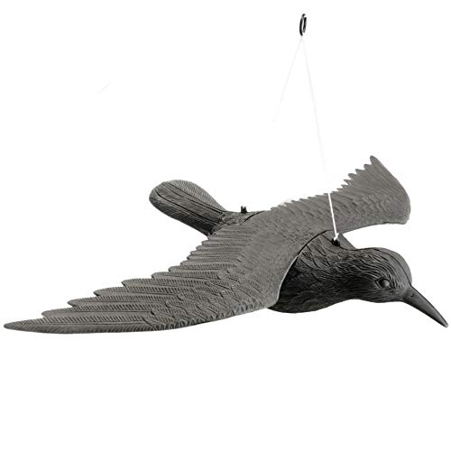 PrimeMatik Bird Repeller Type Statue Flying Raven 58 x 42 cm (AH033), Grey