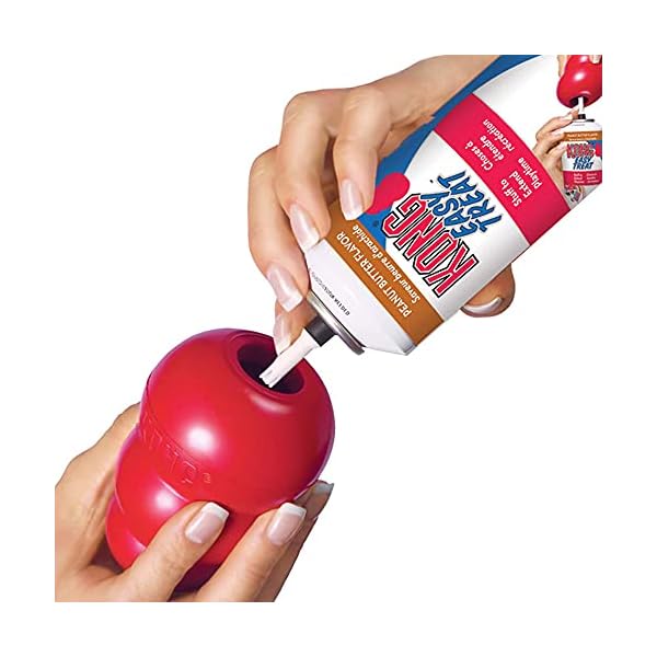 KONG Classic Dog Toy