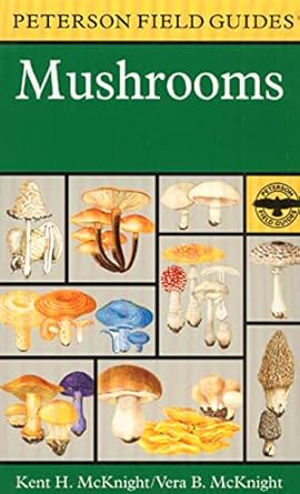 A Field Guide to Mushrooms: North America (Peterson Field Guides)