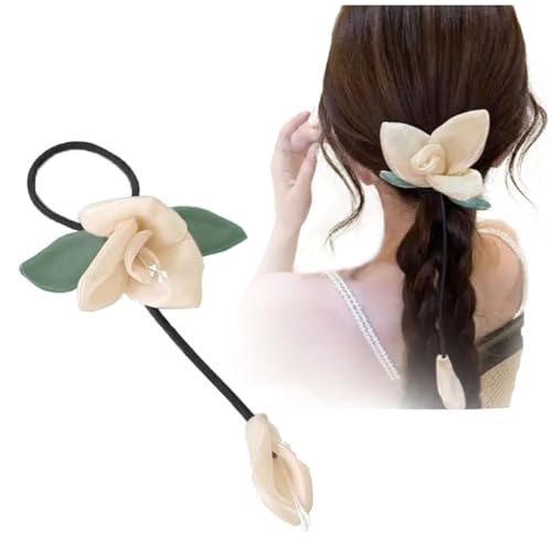 FASELE VV  |  wA{  i NX^ wAANZT[   JWA ʋ ʊw p[eB[ 