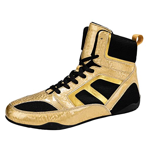 [HBQZHS] j̃eB[GCW[̃{NVOV[Y nCgbvXOu[c tBbglXg[jO o[\[̕C