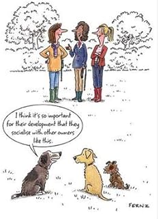 Humorous Female Birthday Card (GBCC-LAGG0078) - Socialise with Other Owners - Illustrated Card from The Look at it This Way Range