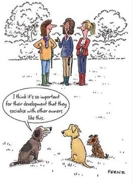 Humorous Female Birthday Card (GBCC-LAGG0078) - Socialise with Other Owners - Illustrated Card from The Look at it This Way Range