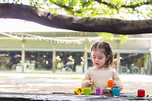 Plantoys Wooden Beehives Sorting Game (4125) | Sustainably Made From Rubberwood And Non-Toxic Paints And Dyes #TOP1