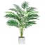 Palm-18 Leaves