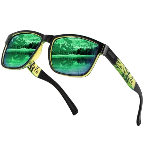 Farrobor Lunettes de Soleil Homme Polarisées Classique...