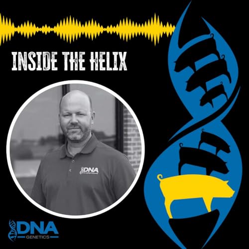 A Peek Behind the Curtain: Improving Sow Longevity