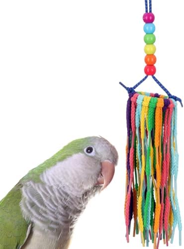 best bird toys for quakers that will surprise your feathery friend 8 Super Bird Creations SB1202 Small Rainbow Aglets Bird Toy - Satisfies Chewing and Preening Instincts of Parrots Ringnecks, Medium Conures, Quakers - Encourages Curiosity - Ideal for Medium Bird Size