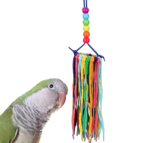 Super Bird Creations SB1202 Small Rainbow Aglets Bird Toy - Satisfies Chewing and Preening Instincts of Parrots Ringnecks, Medium Conures, Quakers - Encourages Curiosity - Ideal for Medium Bird Size