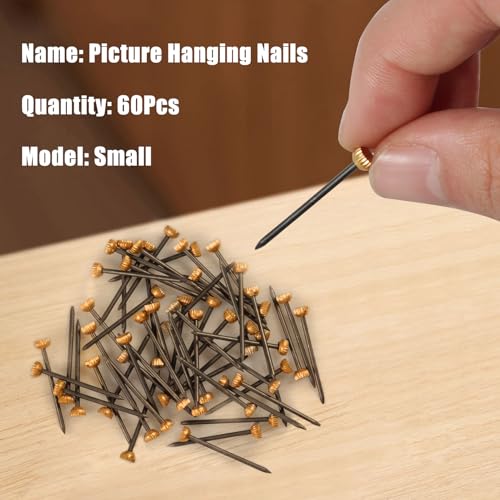 Image of SPEEDWOX 60 Pcs Picture Hangers Black Steel Nails and Brass Head Frame, Picture Hanging Nails for Hanging Picture Painting with Plastic Storage Box Holds Up to 5-30 lbs(Small)
