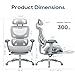 COLAMY Ergonomic Mesh Office Chair, High Back Desk Chair with Footrest, Adjustable Headrest and 3D Arms, Fixed Tilt Lock, Lumbar Support, Breathable Mesh Computer Chair for Home Office,Grey