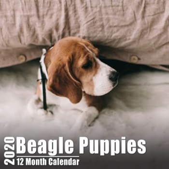 Mini Calendar 2020 7x7 Beagle Puppies : High Quality Beagles Photos Small Calendar with Inspirational Quotes Each Month