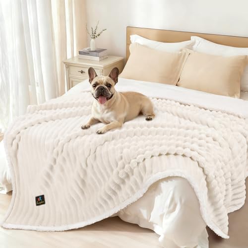 Luciphia Waterproof Dog Blanket XL 85"x57