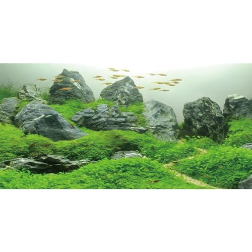 Image of AWERT 48x18 inches Stone Fish Tank Background Aquatic Plant River Bed & Lake Aquarium Background Vinyl Background