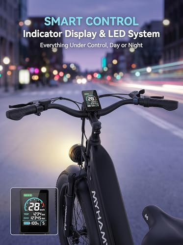 sepado 2000W Electric Bike