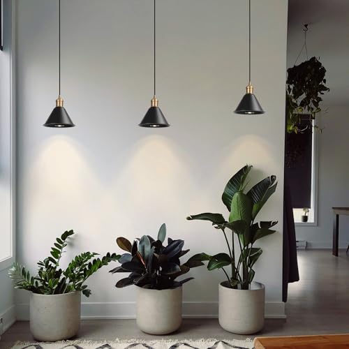 KAYYELAMP 1 Light Black Metal Shade Vintage Brass Base Recessed Light Conversion Kit for E26 Recessed Mount Cans Pendant Ideal for Kitchen Bedroom Office