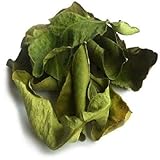 Dimensiones del producto: 20 g