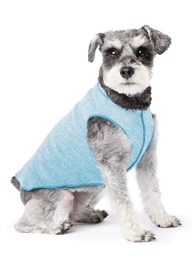 Goldpaw Sun Shield Tee for Dogs and Cats - UV Protection UPF50+ Cooling - Great for Anxiety, Allergies, Wound Care, Hairless Pets - Machine Wash, Quick Dry (Ocean Blue, 10)
