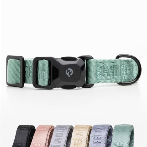 Collar para perro mediano Fei & Eve clásico verde glaciar