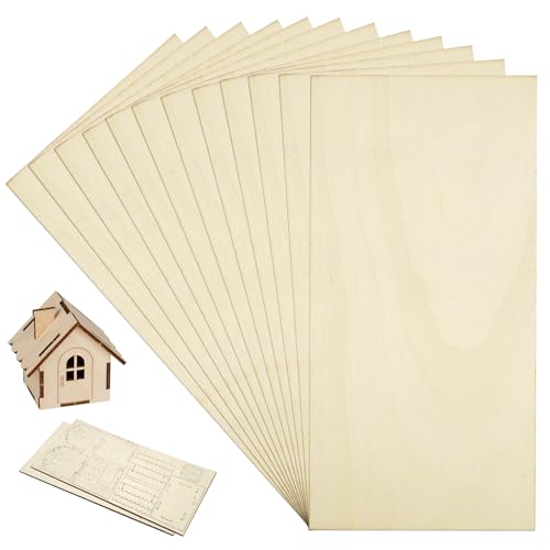 Lot de 12 Contreplaqué 200 * 100 * 1 mm Feuilles de Tilleul, Bois Minces, Panneaux de Bois pour Bricolage, Modélisme, Peintures, Pyrogravure, Feuilles de Contreplaqué Non Fini pour Projets Créatifs