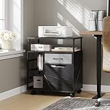 HOMOOI Caisson de Bureau Mobile avec 2 Tiroirs Classeur à Dossiers Compartiments Ouverts avec roulettes Placard de Rangement pour Documents Bureau Maison Noir 60 * 40 * 70.5cm H04E4060S