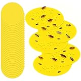 bo puces solitaire cristaux bleu 🛡️【Sûrs et Non Toxiques】Ces pastilles de rechange pour pièges à puces sont fabriquées à partir de matériaux sûrs, inodores et sans produits chimiques. Écologiques, elles ne laissent aucun résidu de colle et se retirent facilement sans abîmer les meubles, les tapis ou les sols. Même utilisées à la maison, elles garantissent la sécurité des enfants et des animaux domestiques, créant ainsi un environnement plus sain pour votre famille. Idéales pour les familles avec animaux ou enfants.