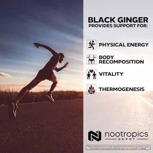 Nootropics Depot Black Ginger Extract Capsules