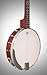 Epiphone MB-100 5-String Banjo
