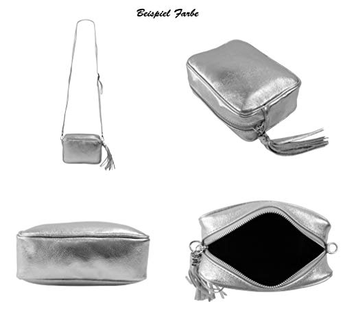 SH Leder Echtleder Umhängetasche mittel kleine Tasche Abendtasche Clutch Crossbody Bag Messenger Handtasche mit Reißverschluss 21x15cm Chiara G209 (Nude)