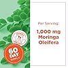 PlantVital Organic Moringa Leaf Capsules - Made in Canada - 1000mg High Potency (500mg per cap) Moringa Pure Capsules for Antioxidant, and Eye Health - Vegan, Non-GMO, Gluten Free (120 Count, 60 Days)