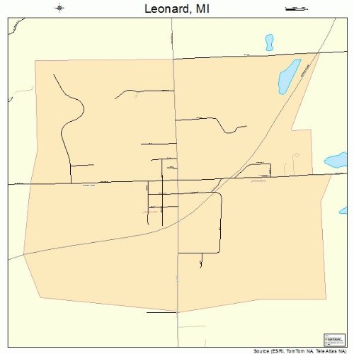 Large Street & Road Map of Leonard, Michigan MI Printed poster size