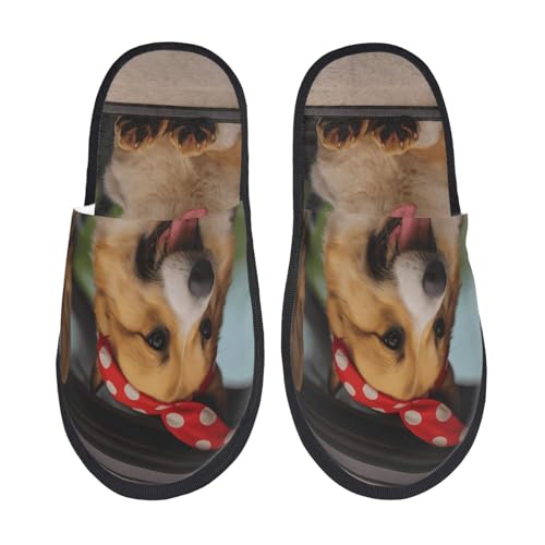 [zhandiffy] R[M[  (2) [V[YXbp LN^[Ajv[gXbp M