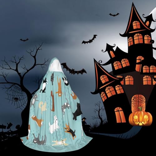 Costume de sorcière vampire avec cape à capuche longue ado chaud