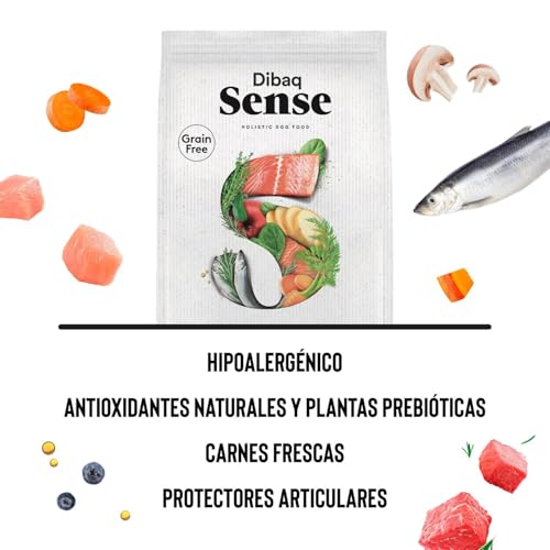 Dibaq Sense Cat Grain Free Nassfutter für Katzen, Thunfisch und Wildschwein, 100 % natürlich und getreidefrei, 70 g x 12 Stück