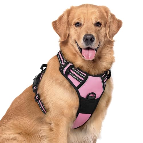 Image of rabbitgoo Dog Harness No Pull with 2 Leash Clips, Adjustable Soft Padded, Reflective Oxford No Choke Pet Vest with Easy Control Handle for Large Dogs, Pink, XL