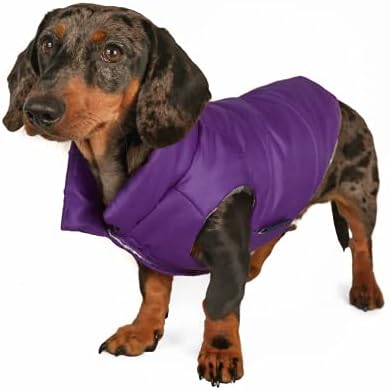 weiner dog coat