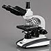 AmScope T360B-10M Digital Trinocular Compound Microscope, 40X-2000X Magnification, WF10x and WF20x Eyepieces, Brightfield, LED Illumination, Abbe Condenser, Double-Layer Mechanical Stage, Includes 10MP Camera with Reduction Lens and Software