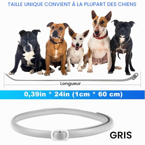 Collier Anti Puces pour Chien, Collier RéGlable pour Chien, ImperméAble, Protection Efficace Pendant 24 Mois, pour Les Petits, Moyens et Grands Chiens – vue 4