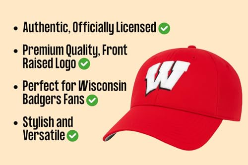 Gorra ajustable con logo bordado equipo Badgers miniatura 5