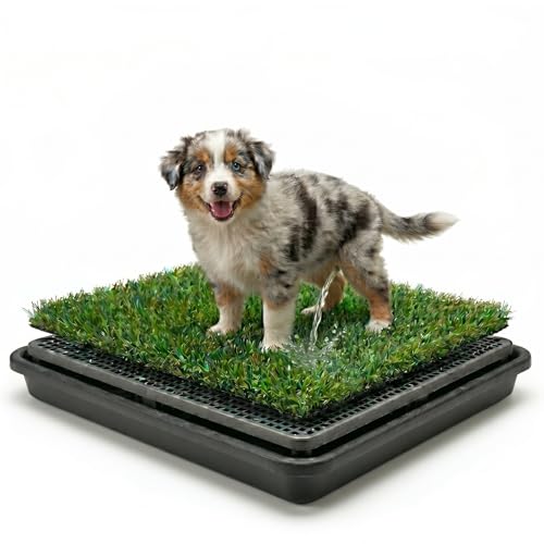 Hundetoilette mit Kunstrasen & Auffangschale 50x40cm 3-lagiges Welpen-WC für Indoor & Outdoor Wiederverwendbare Hundegrasmatte für Toilettentraining Balkon & Wohnung Leicht zu Reinigen