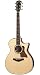 Taylor 814ce